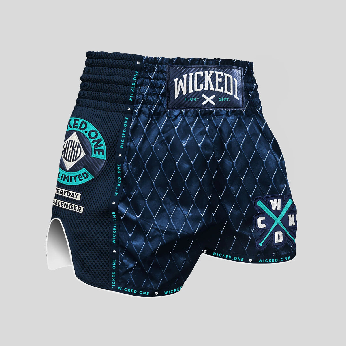 Muay Thai Short Cage